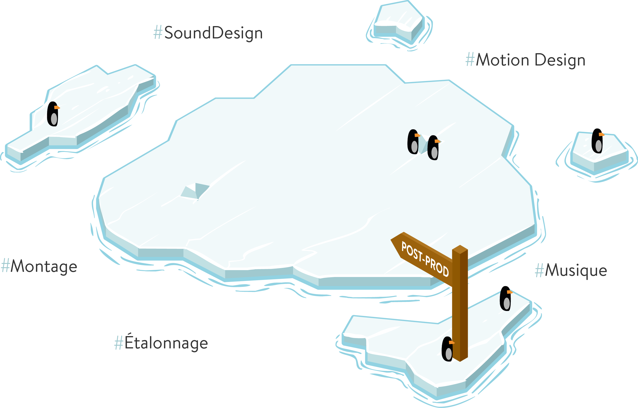 Tout Le Monde Aime Les Pingouins