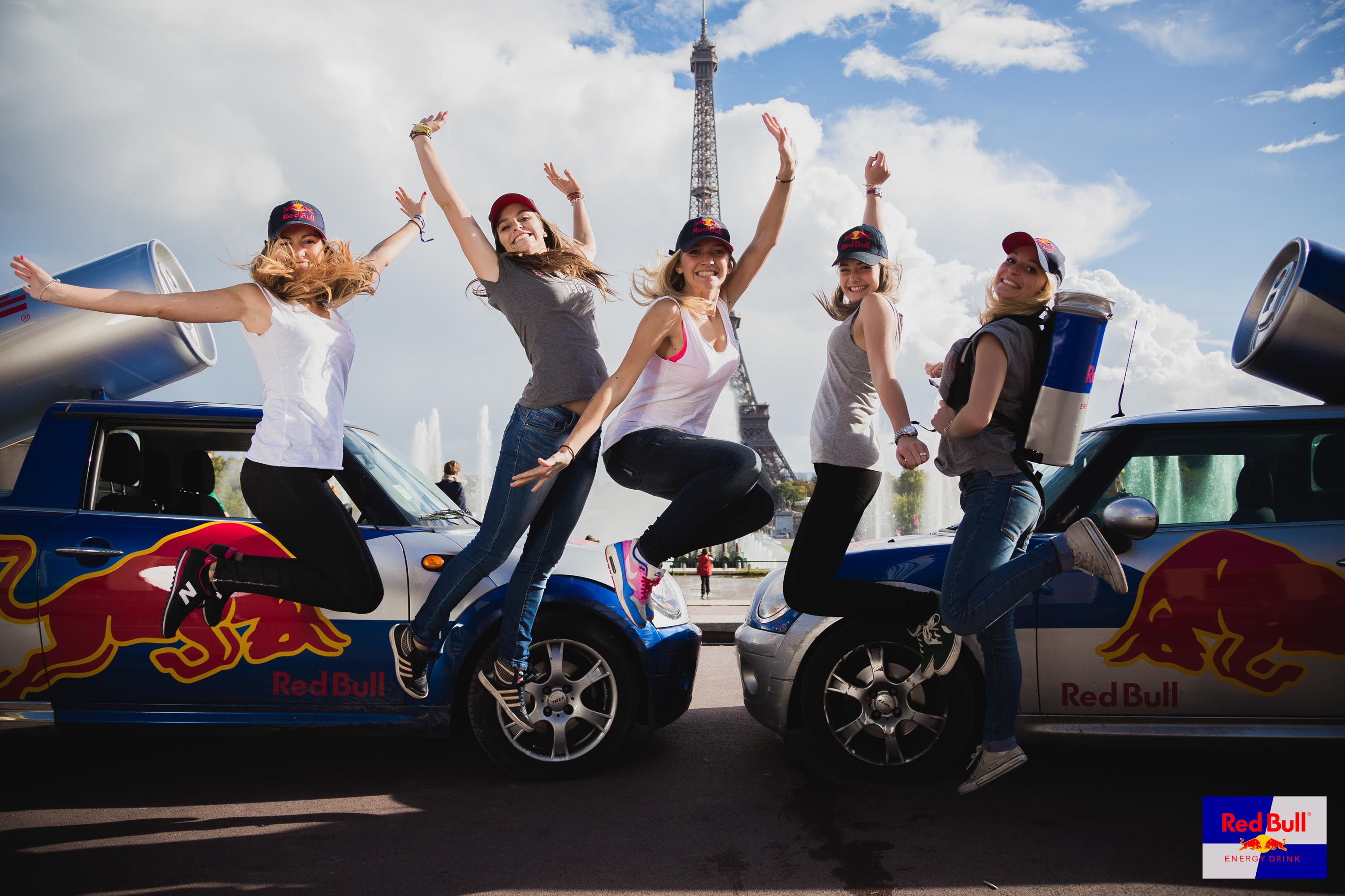 Tout Le Monde Aime Les Pingouins - Red Bull