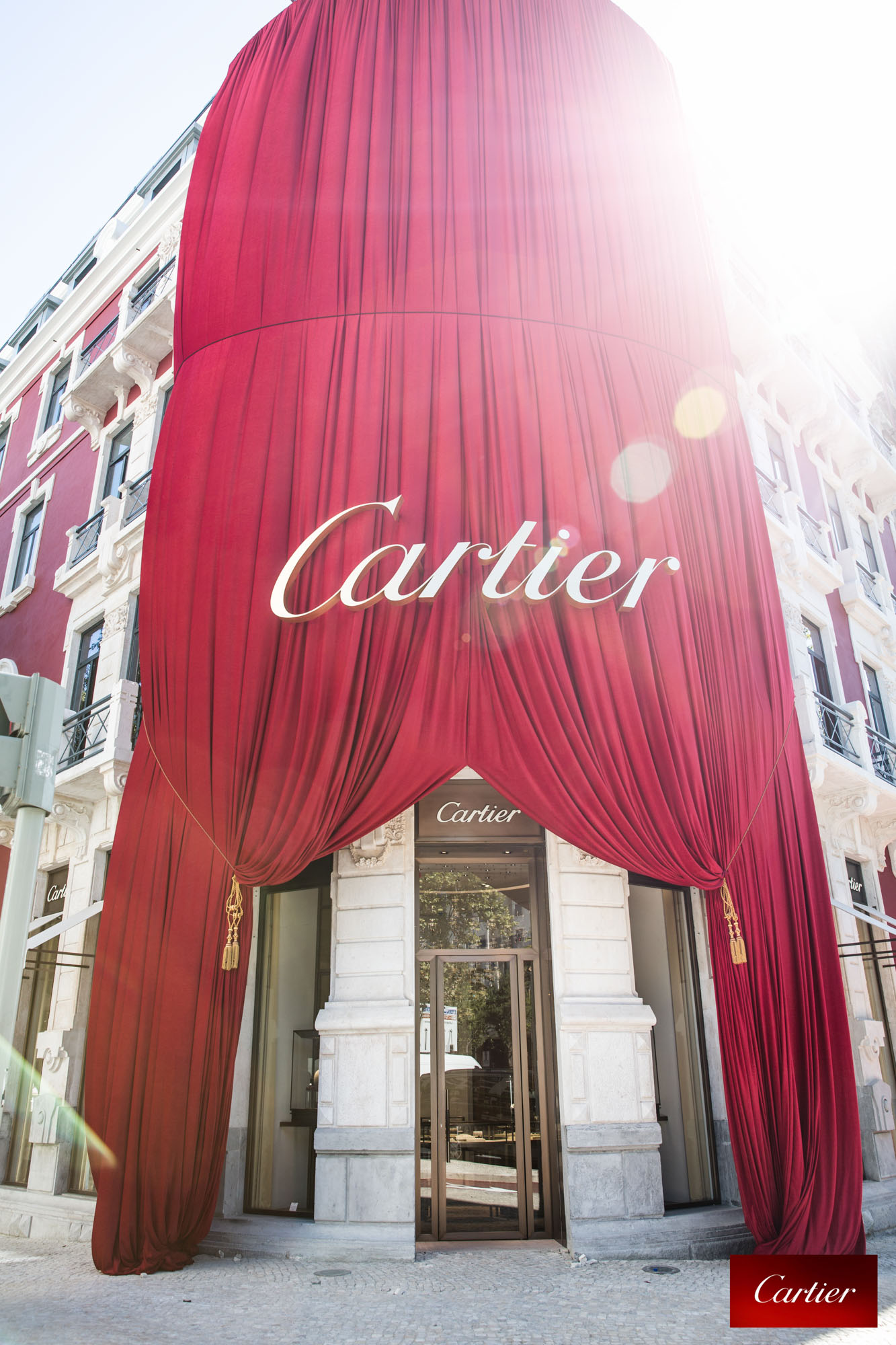 Tout Le Monde Aime Les Pingouins - Cartier