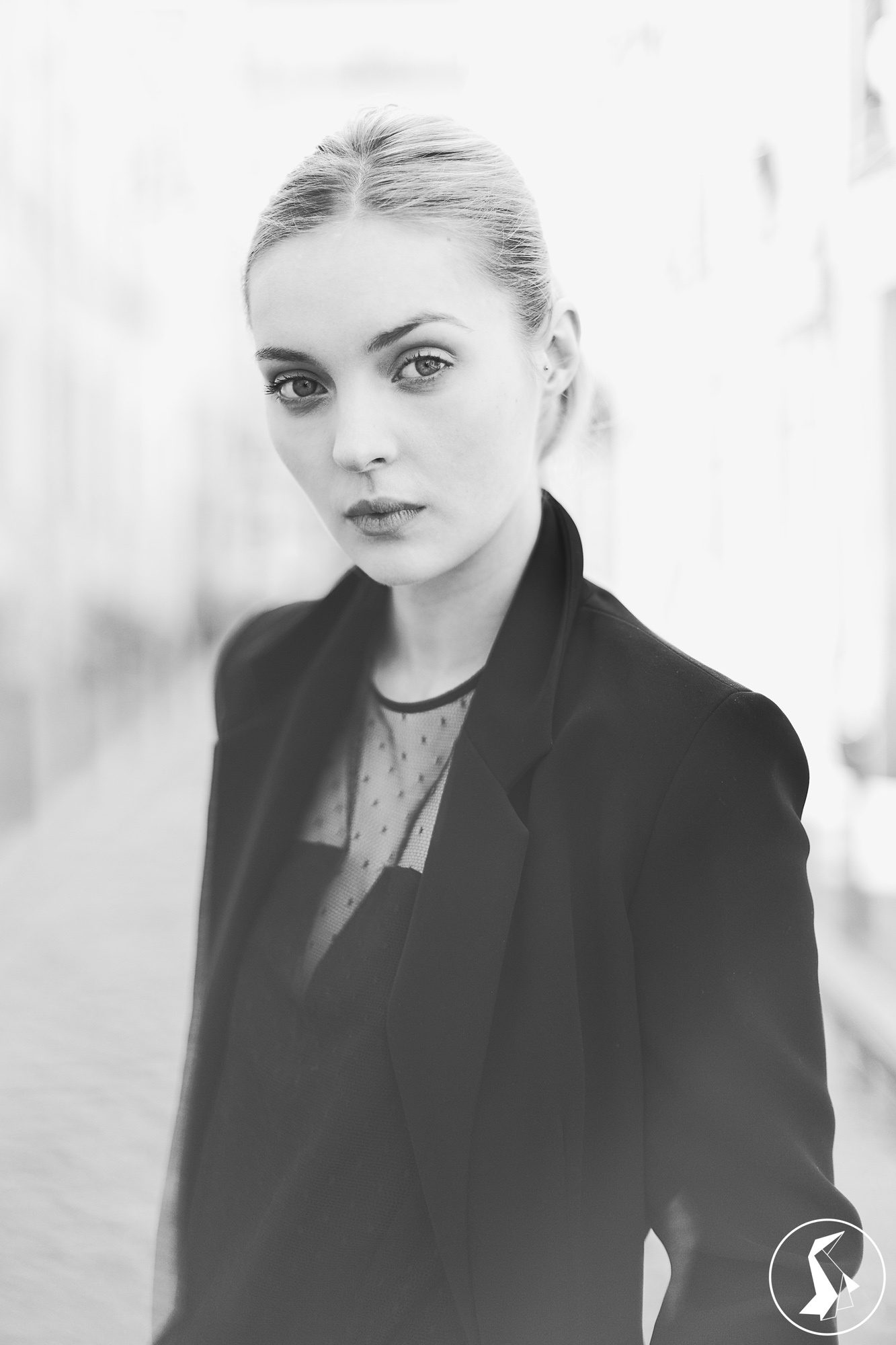 Tout Le Monde Aime Les Pingouins