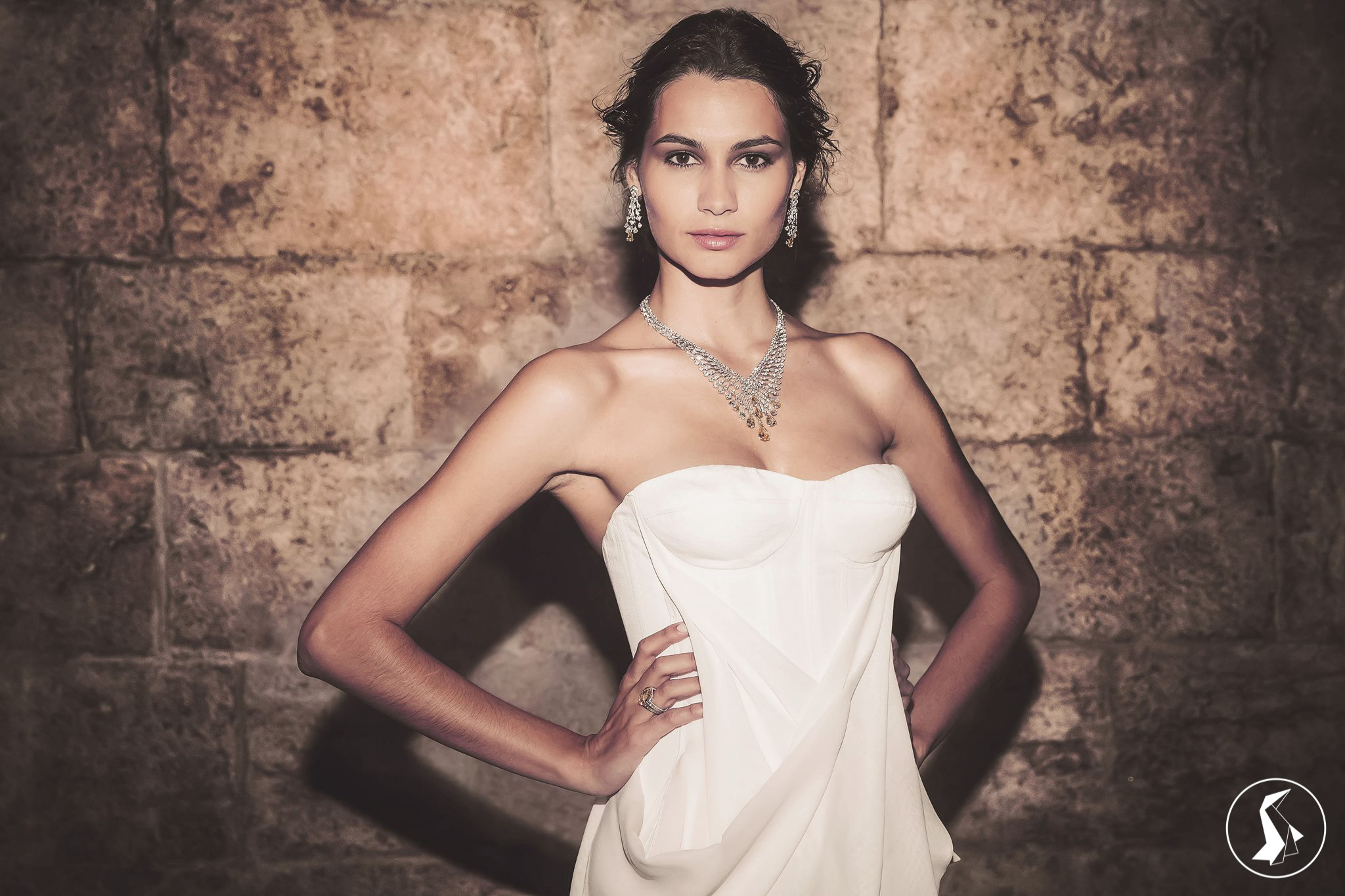 Tout Le Monde Aime Les Pingouins