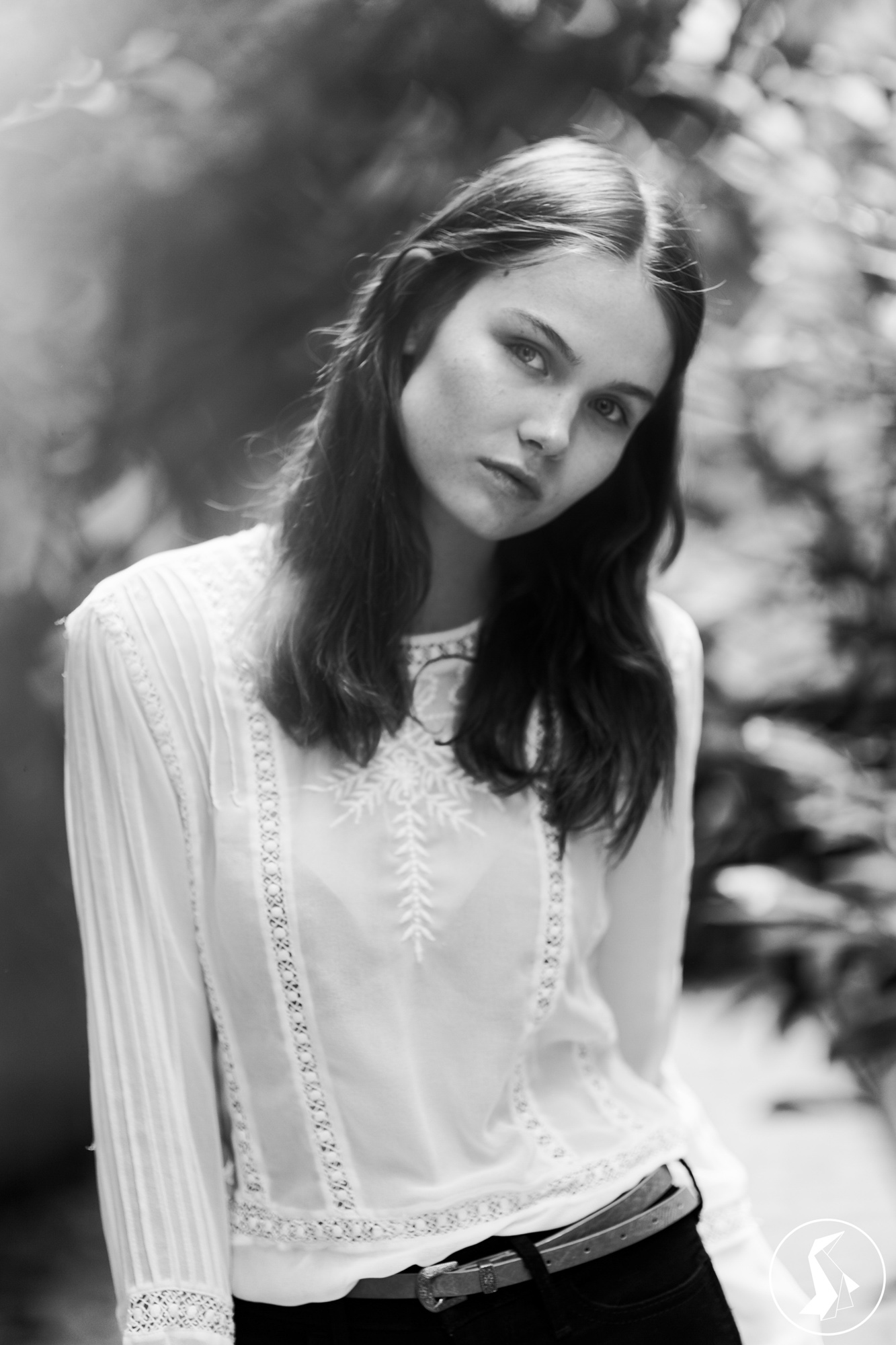 Tout Le Monde Aime Les Pingouins