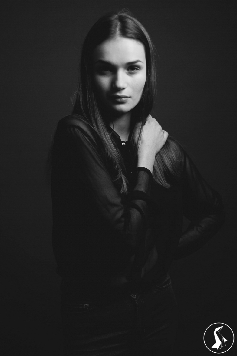 Tout Le Monde Aime Les Pingouins