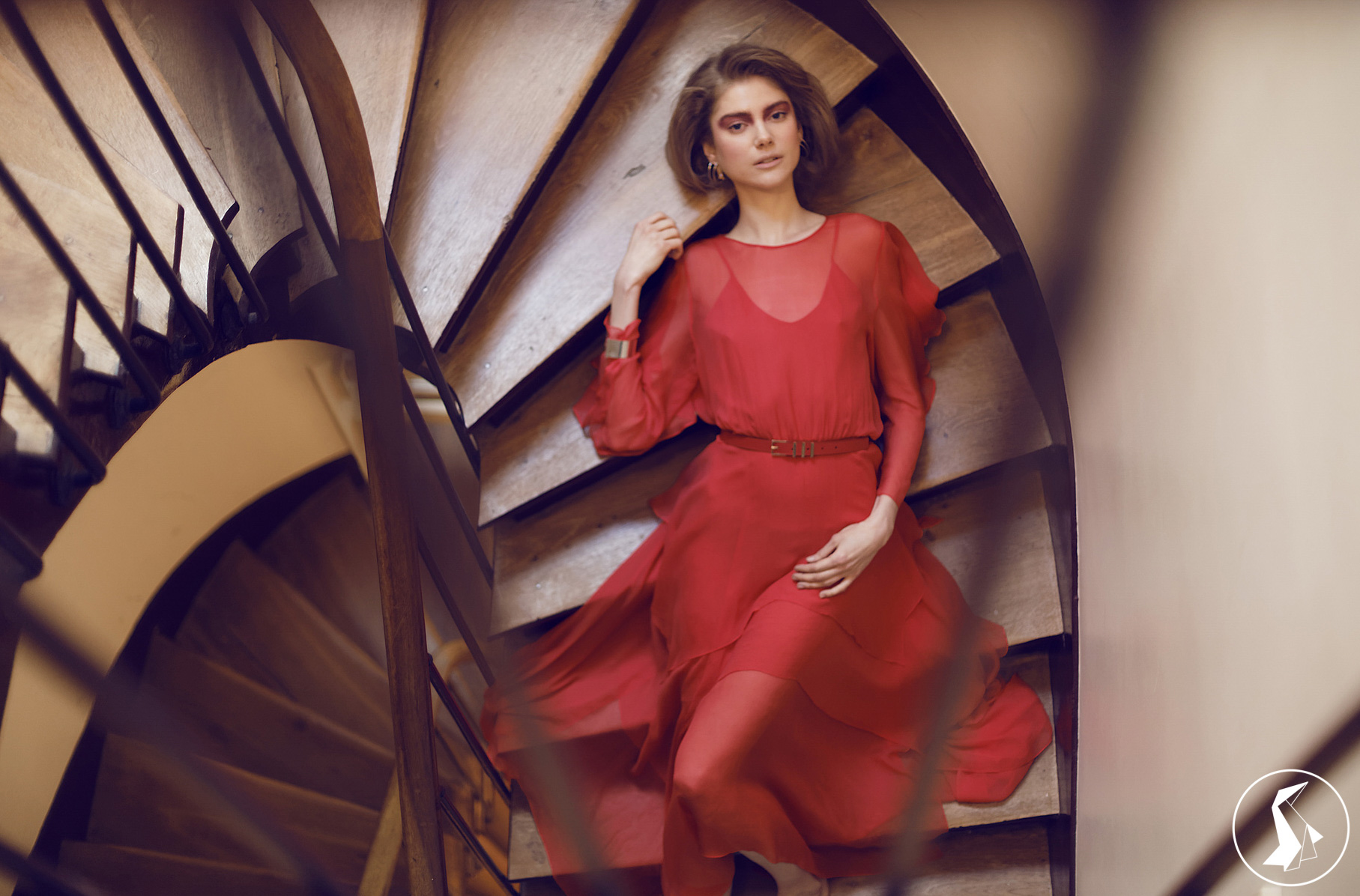 Tout Le Monde Aime Les Pingouins