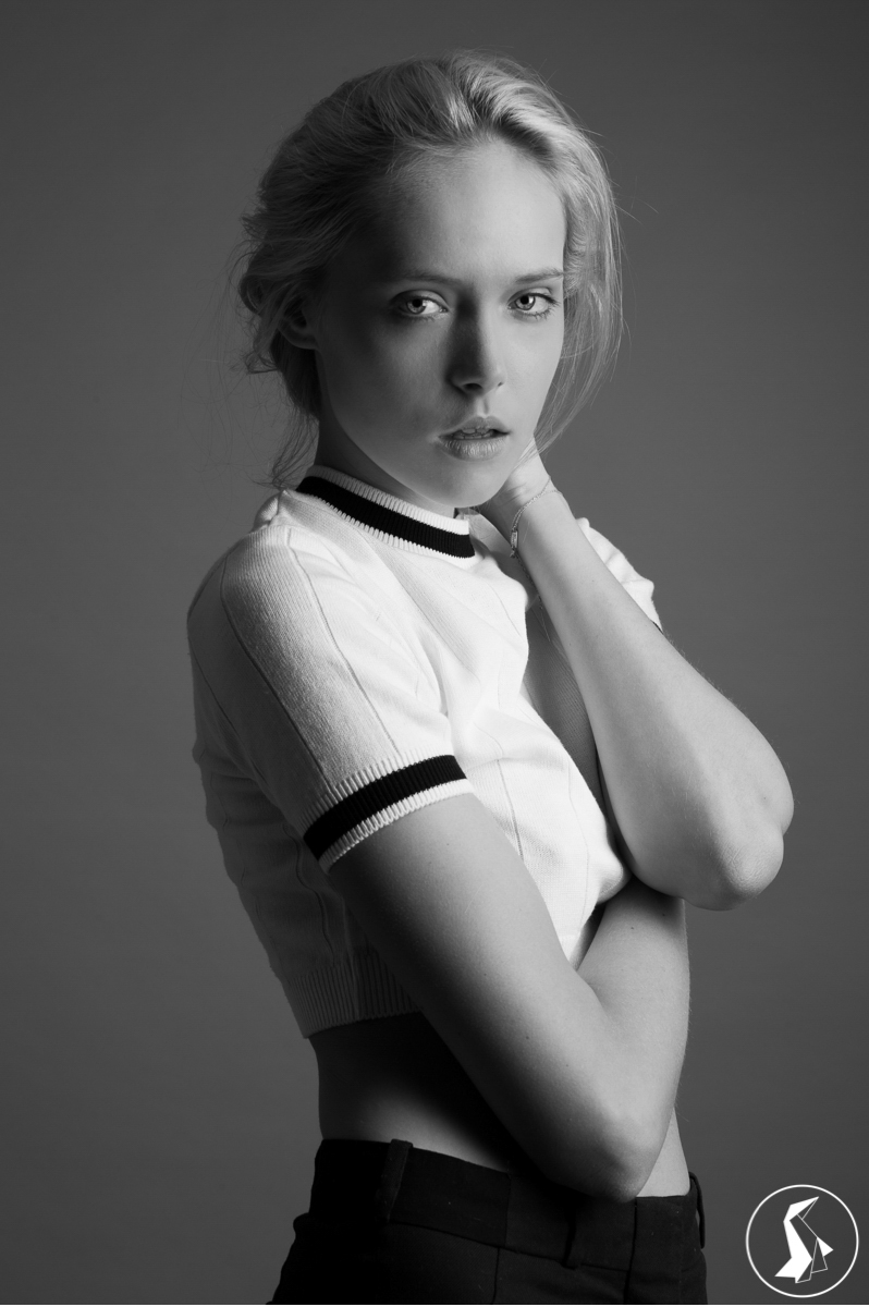 Tout Le Monde Aime Les Pingouins