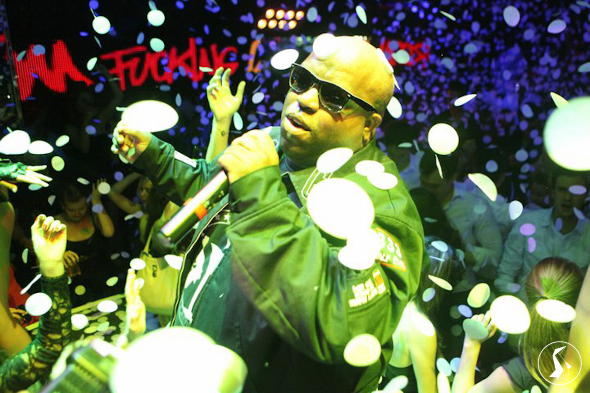 Tout Le Monde Aime Les Pingouins