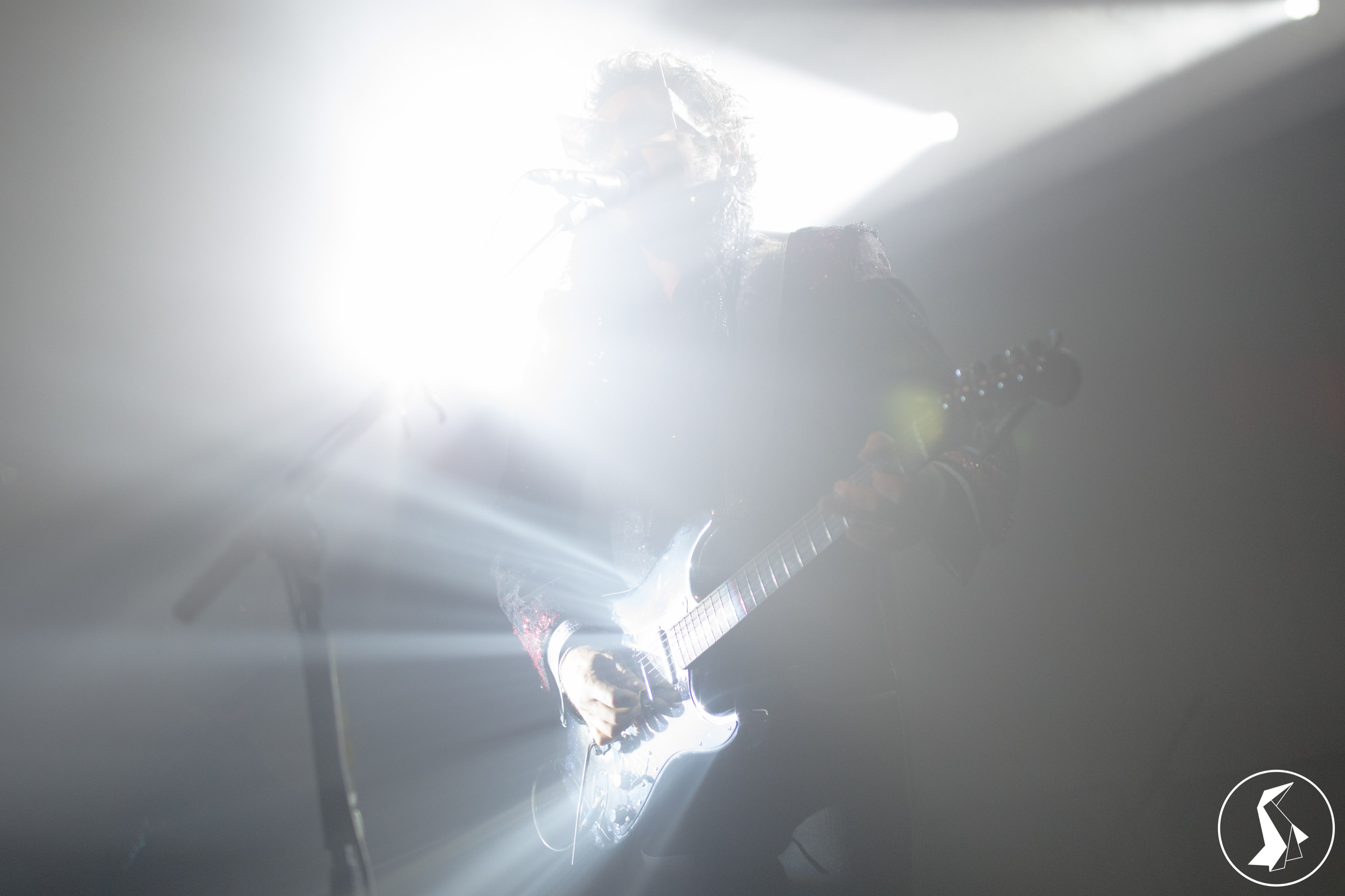 Tout Le Monde Aime Les Pingouins