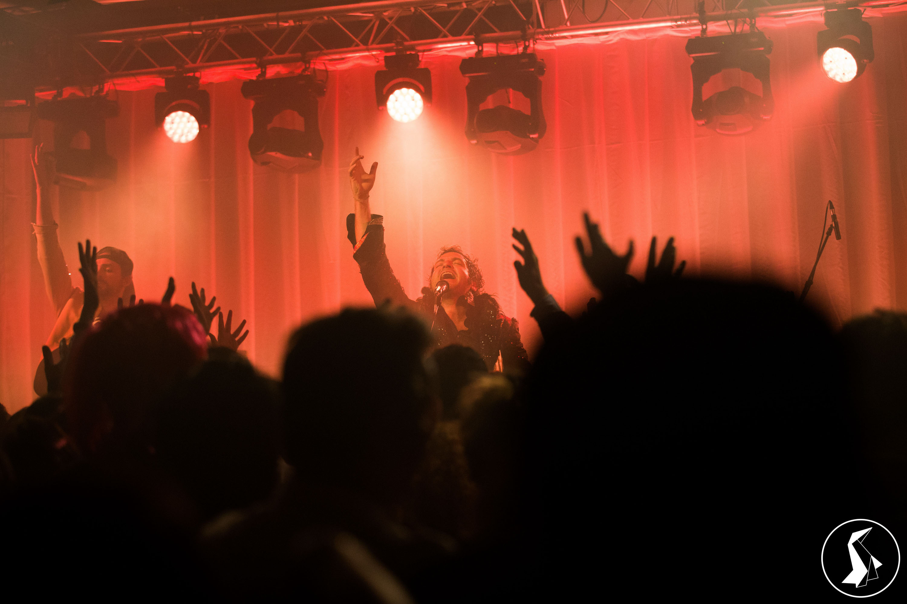 Tout Le Monde Aime Les Pingouins