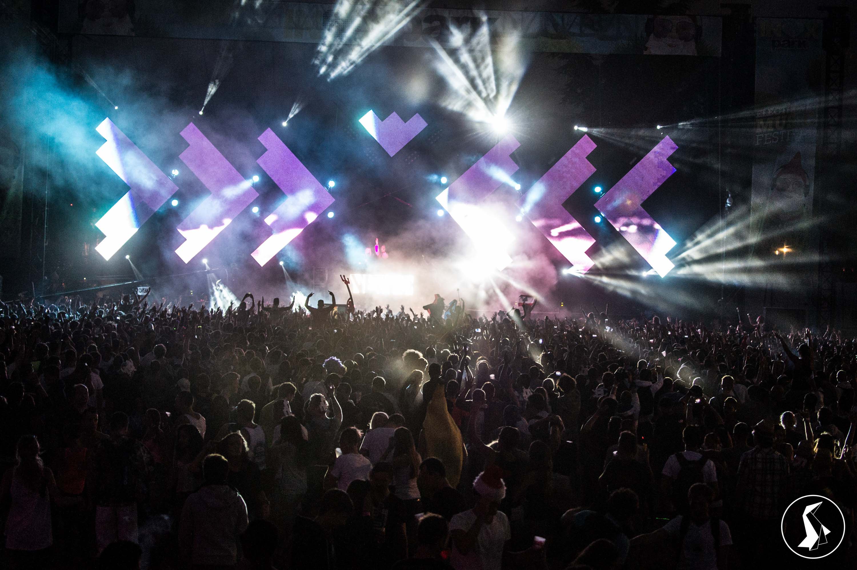 Tout Le Monde Aime Les Pingouins