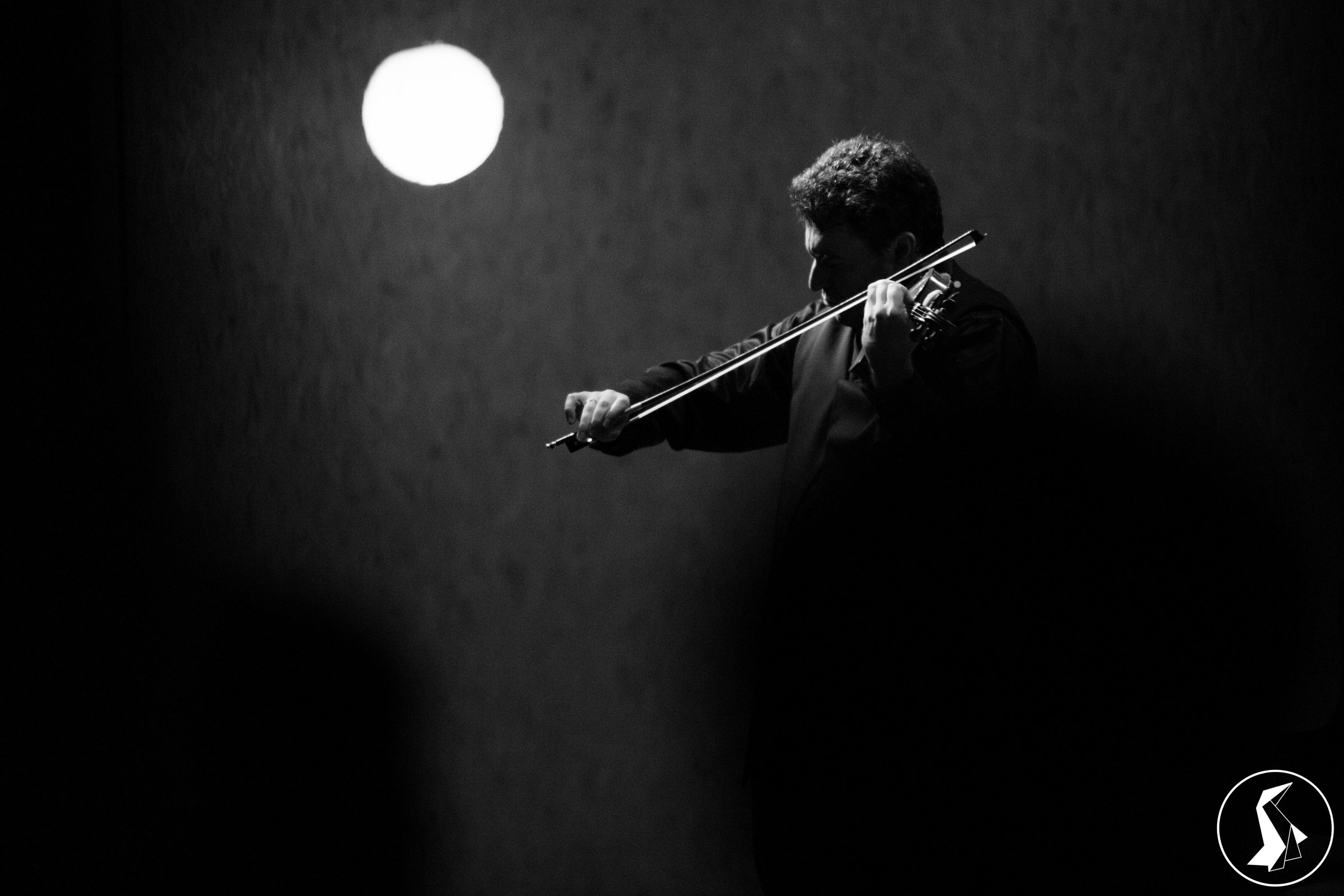 Tout Le Monde Aime Les Pingouins