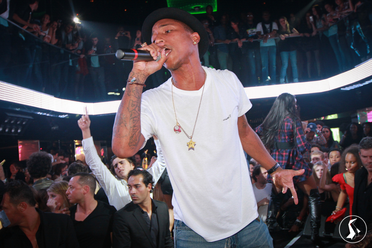 Tout Le Monde Aime Les Pingouins