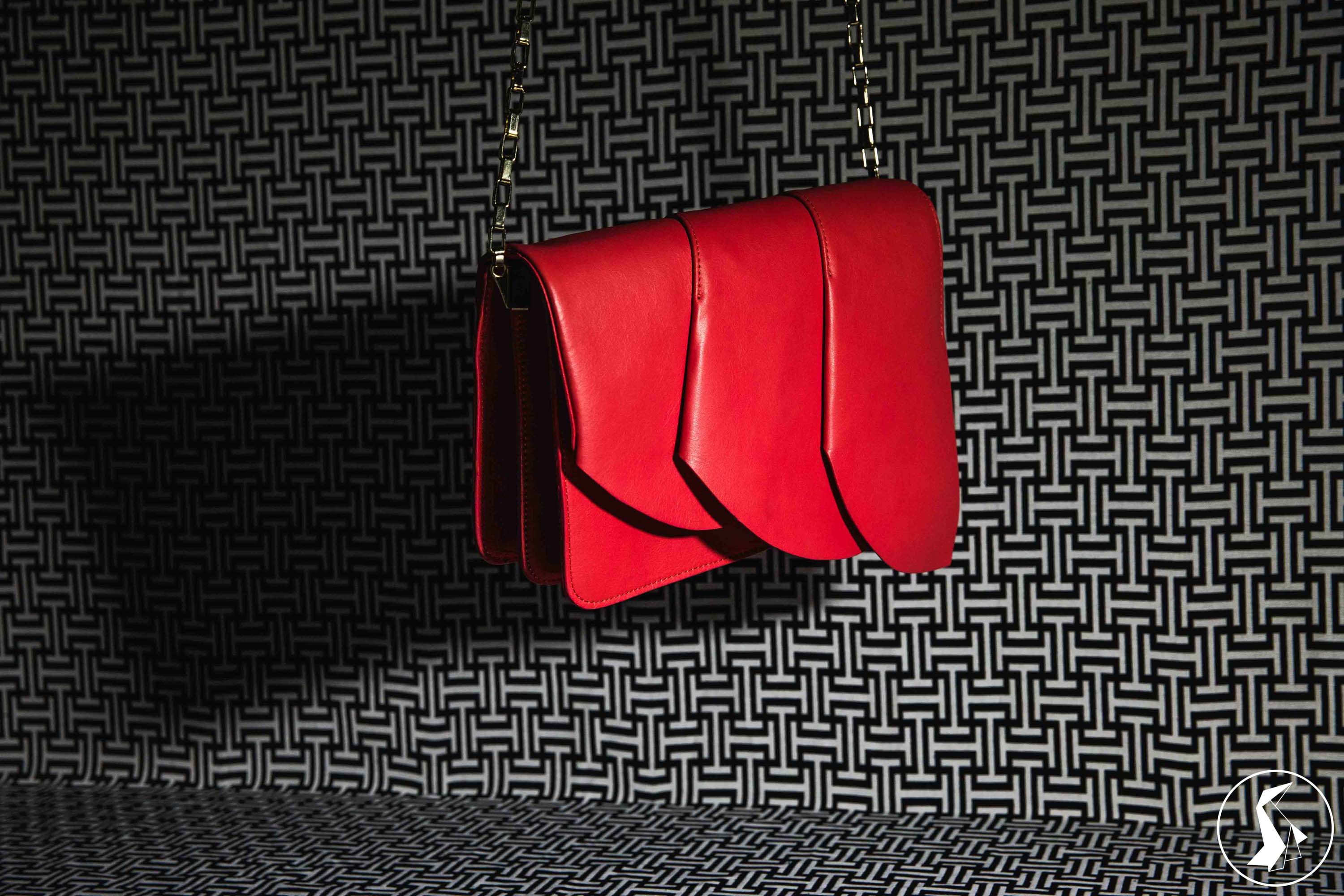 Tout Le Monde Aime Les Pingouins - Championnes