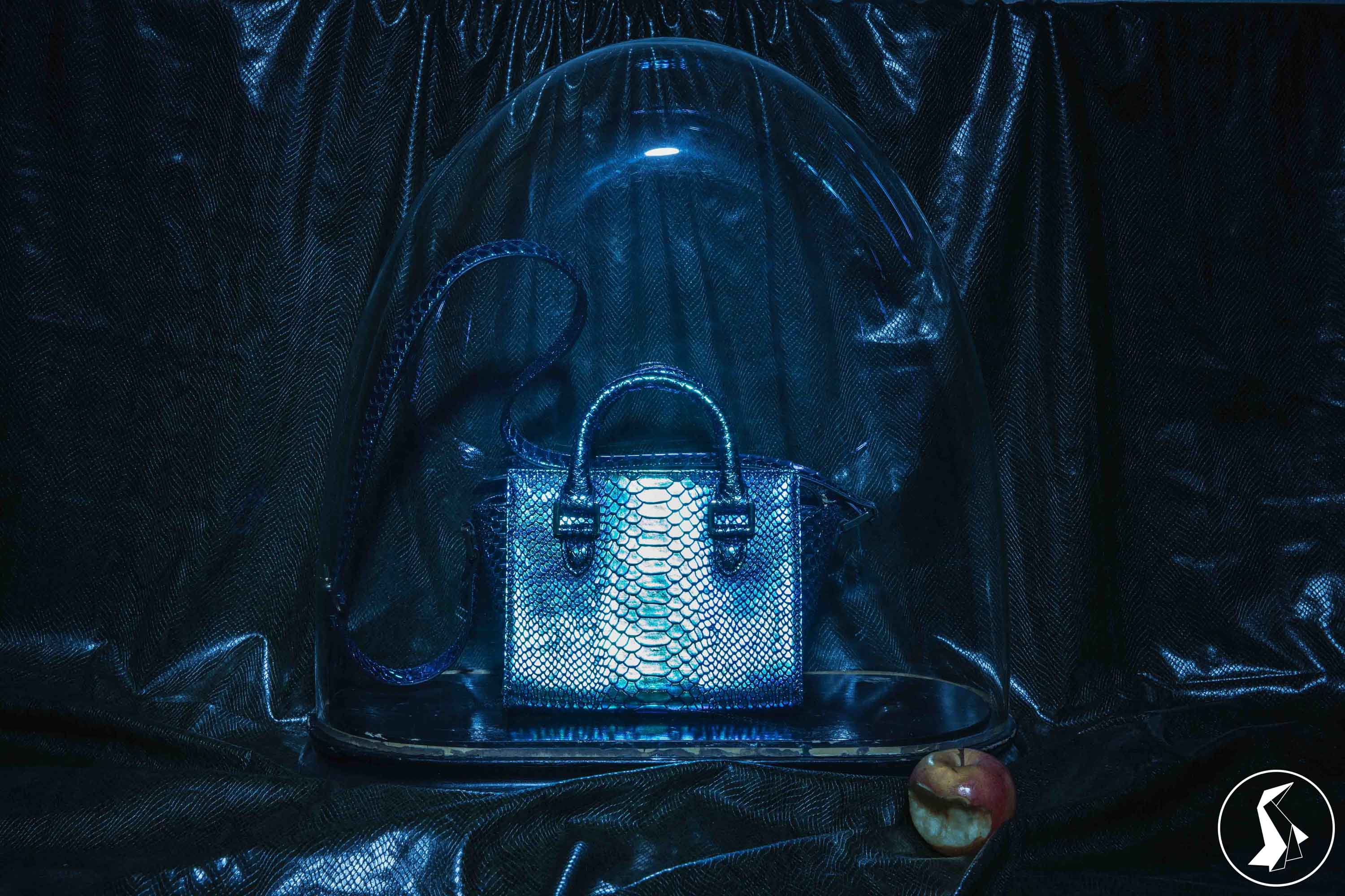 Tout Le Monde Aime Les Pingouins - Championnes