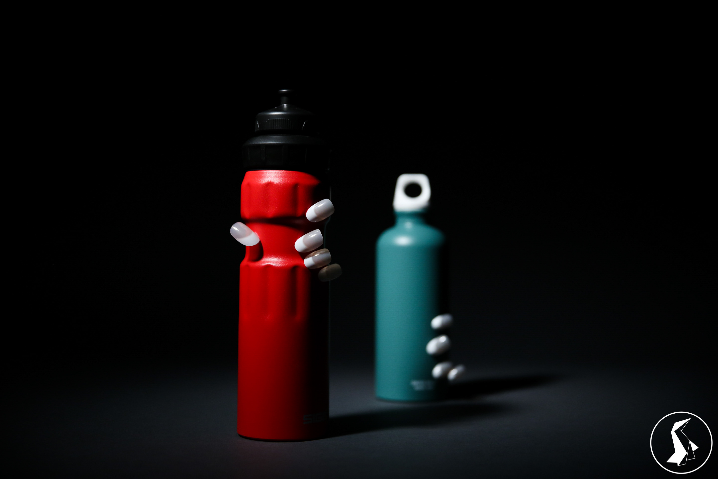 Tout Le Monde Aime Les Pingouins - Championnes