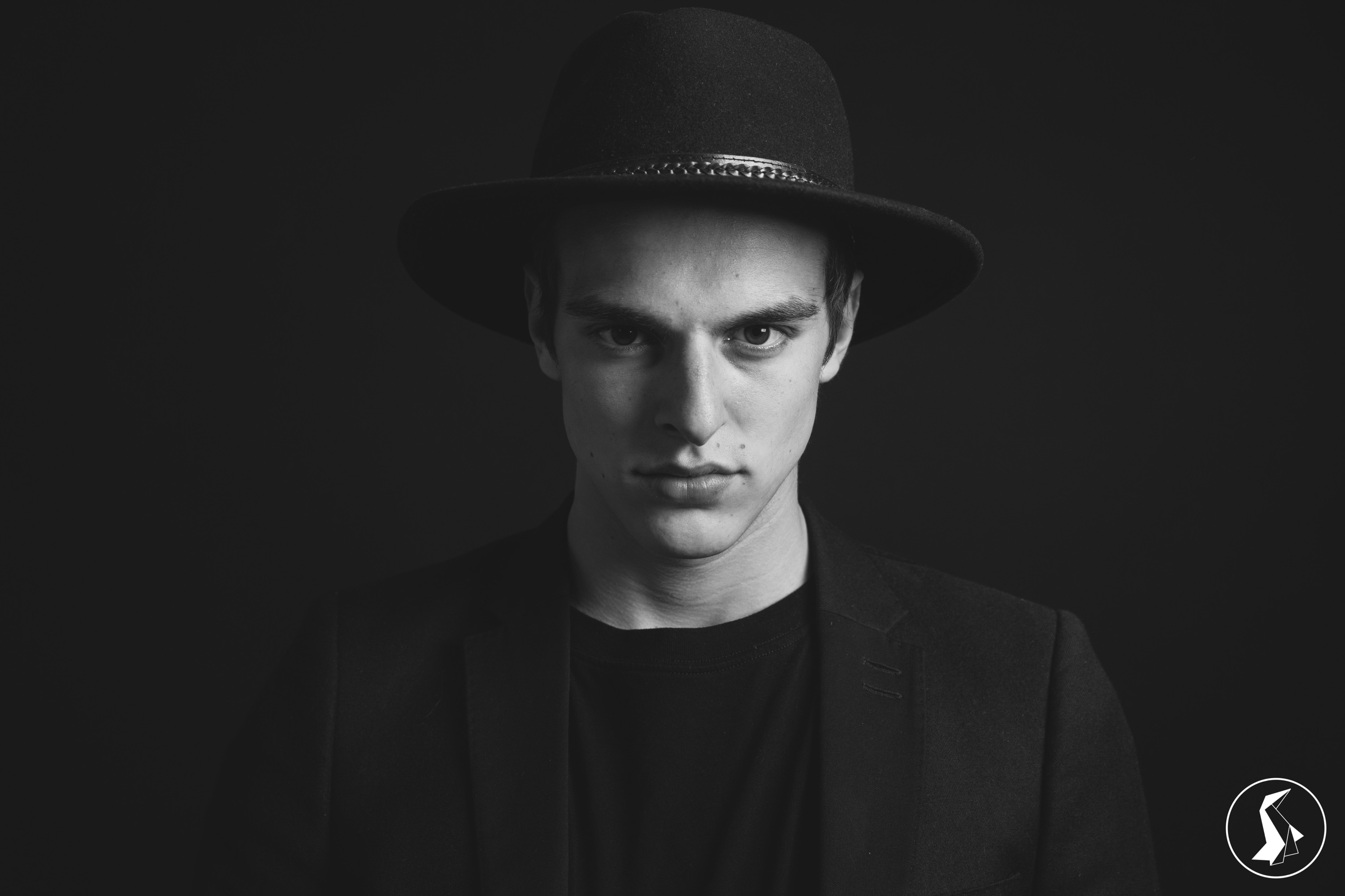 Tout Le Monde Aime Les Pingouins - Portrait