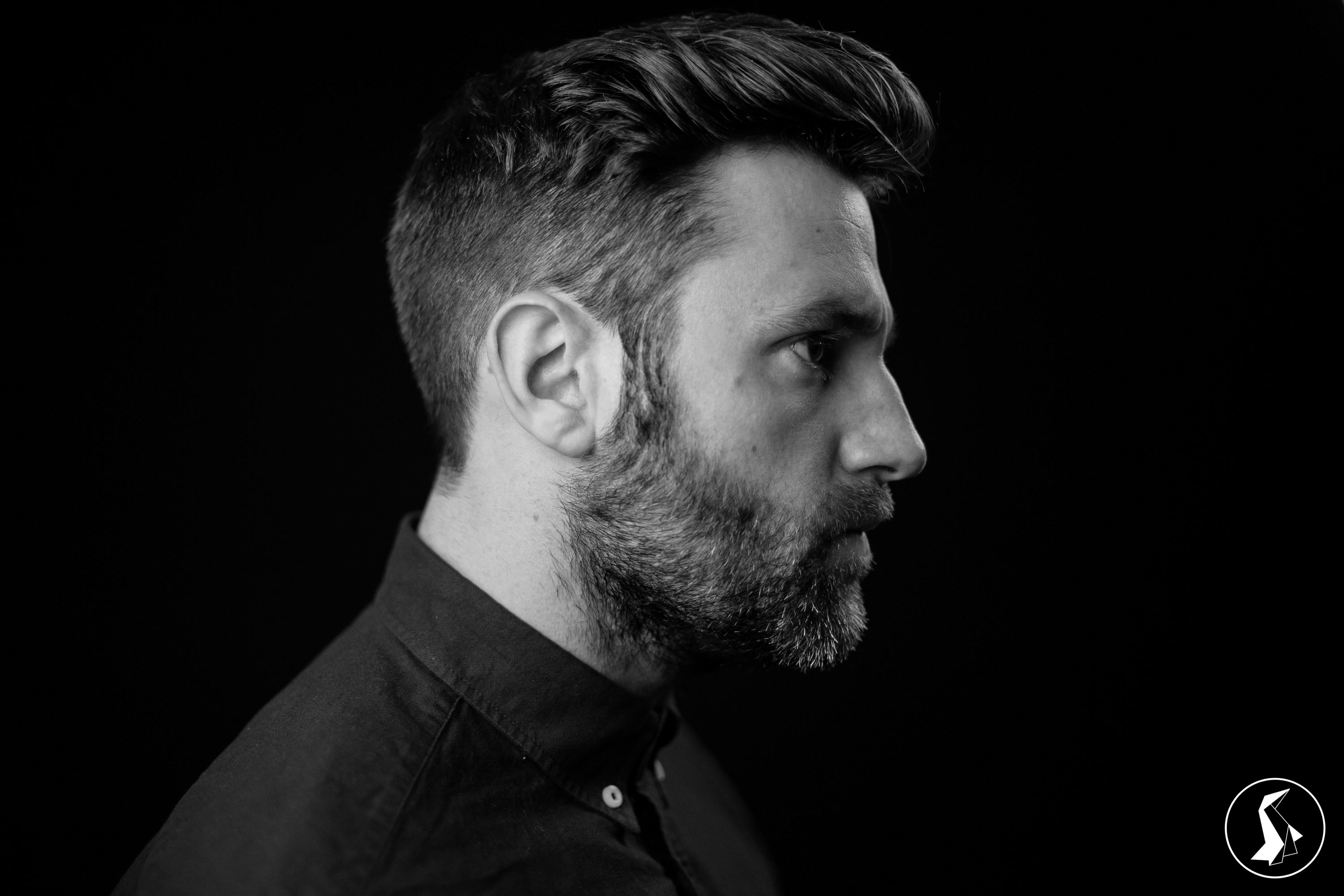 Tout Le Monde Aime Les Pingouins - Portrait