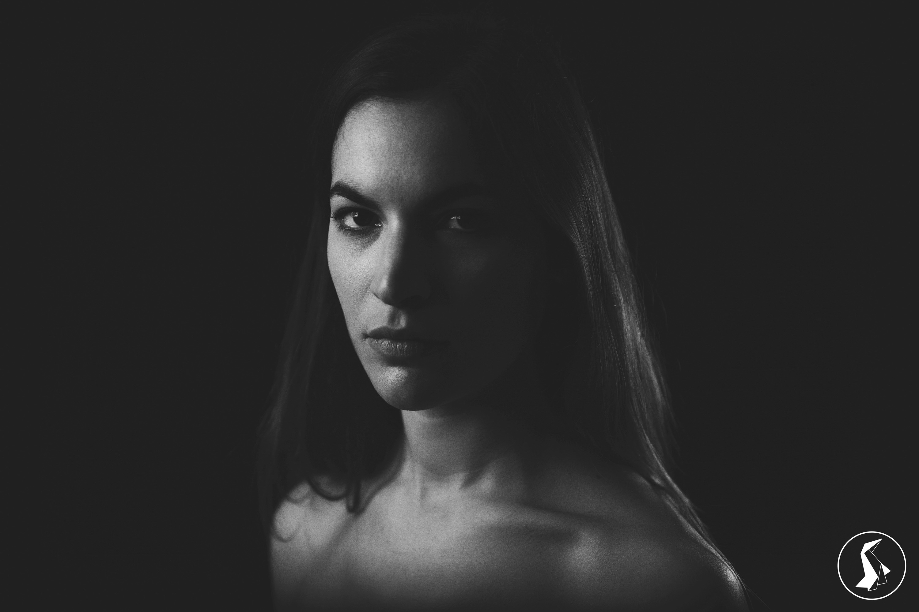 Tout Le Monde Aime Les Pingouins - Portrait