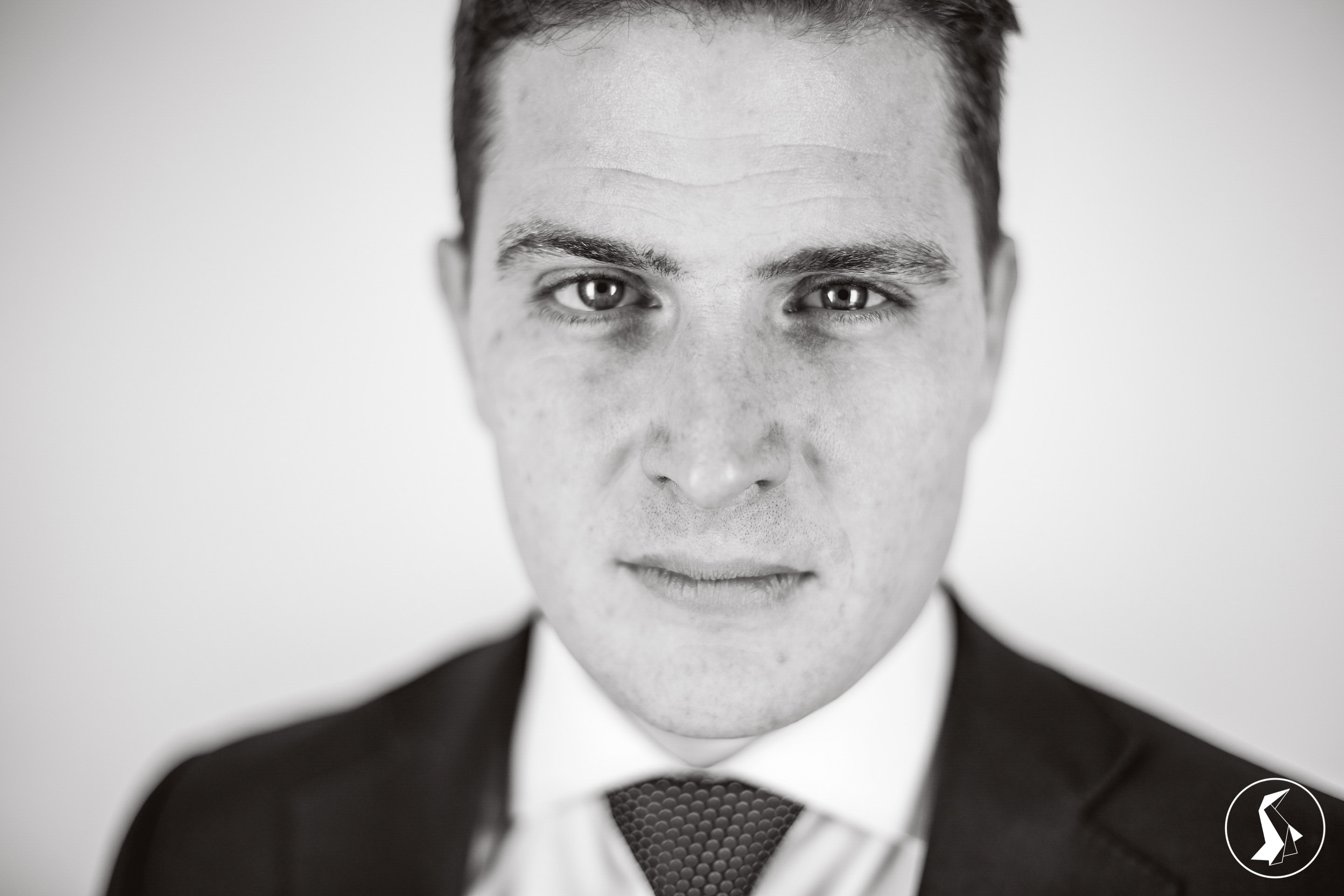 Tout Le Monde Aime Les Pingouins - Portrait