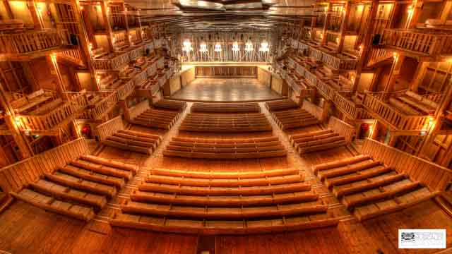 Tout Le Monde Aime Les Pingouins