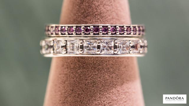 Tout Le Monde Aime Les Pingouins