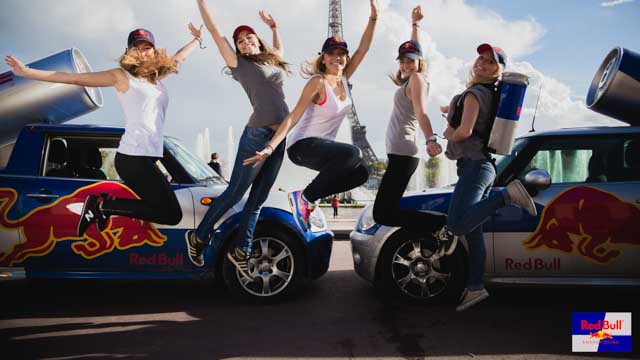 Tout Le Monde Aime Les Pingouins