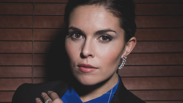 Tout Le Monde Aime Les Pingouins