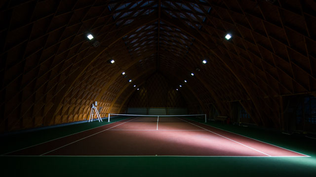 Tout Le Monde Aime Les Pingouins