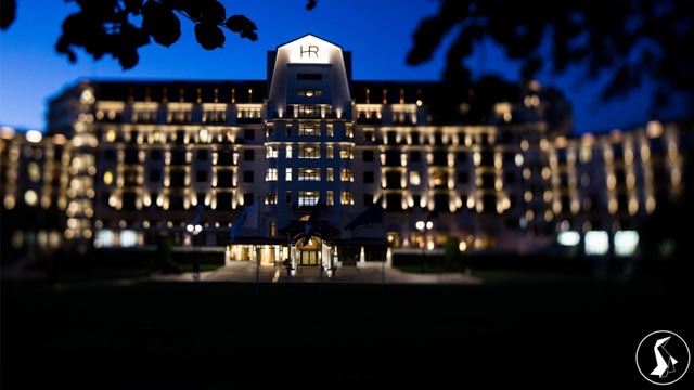 Tout Le Monde Aime Les Pingouins