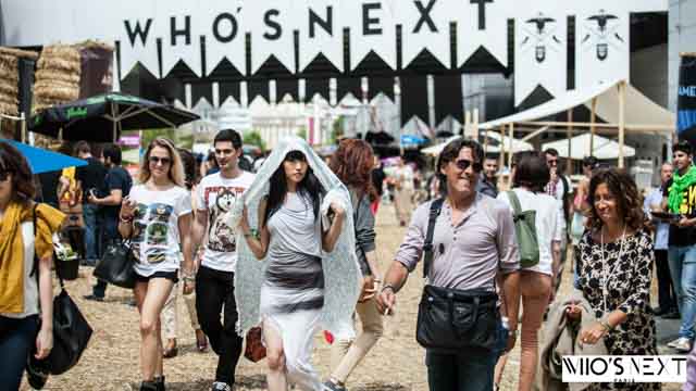 Tout Le Monde Aime Les Pingouins