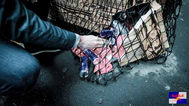 Tout Le Monde Aime Les Pingouins