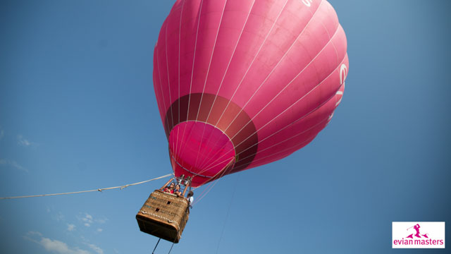 Tout Le Monde Aime Les Pingouins