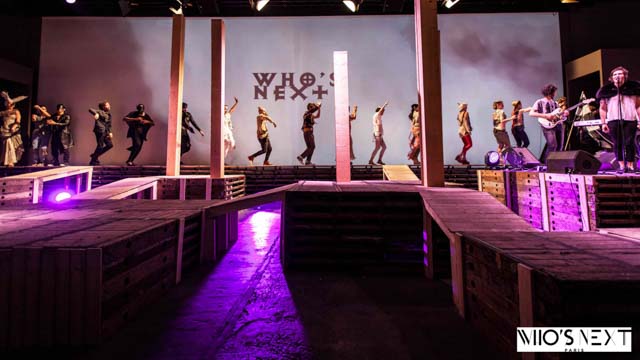 Tout Le Monde Aime Les Pingouins