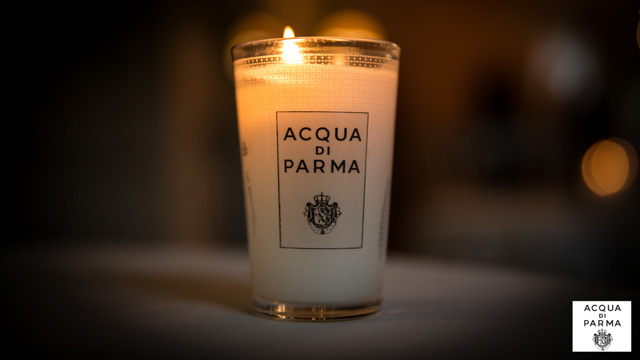 Tout Le Monde Aime Les Pingouins