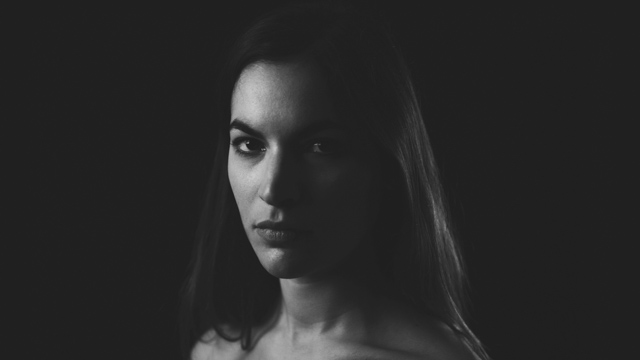 Tout Le Monde Aime Les Pingouins -