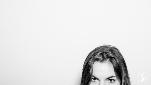 Tout Le Monde Aime Les Pingouins -