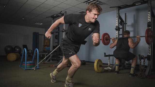 Tout Le Monde Aime Les Pingouins