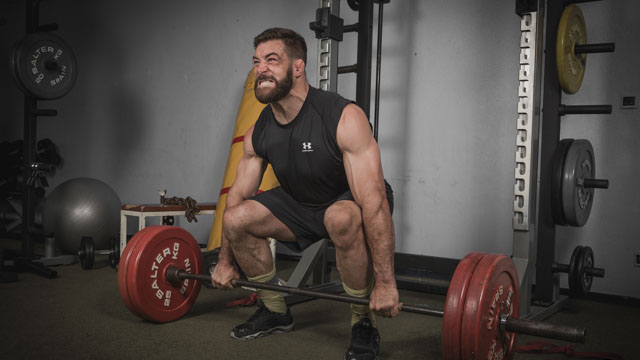 Tout Le Monde Aime Les Pingouins