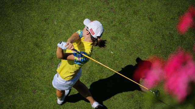 Tout Le Monde Aime Les Pingouins