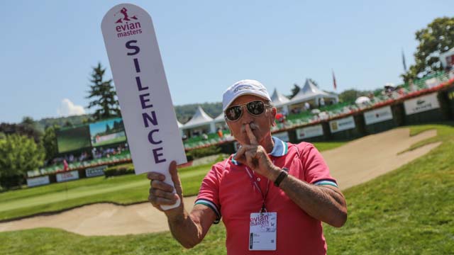 Tout Le Monde Aime Les Pingouins