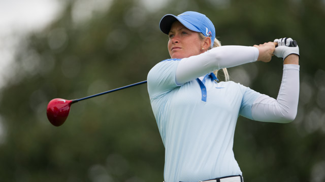 Tout Le Monde Aime Les Pingouins