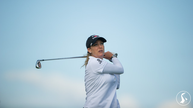 Tout Le Monde Aime Les Pingouins