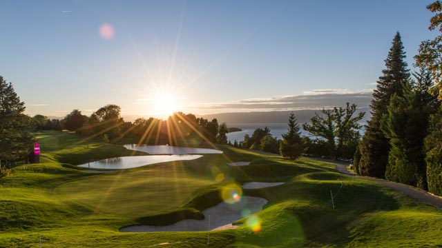 Tout Le Monde Aime Les Pingouins