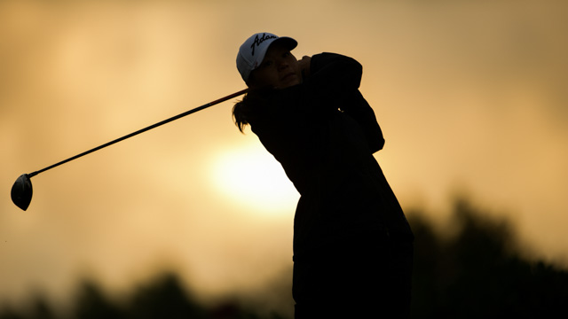 Tout Le Monde Aime Les Pingouins