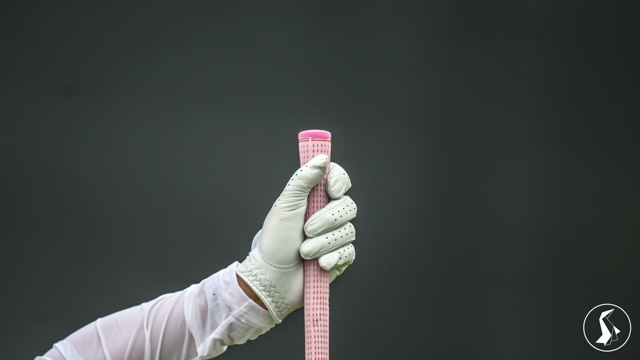 Tout Le Monde Aime Les Pingouins