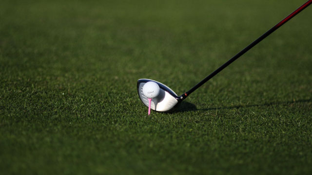 Tout Le Monde Aime Les Pingouins