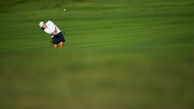 Tout Le Monde Aime Les Pingouins