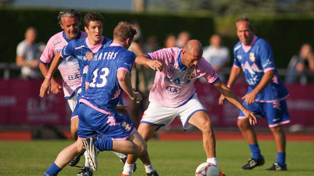 Tout Le Monde Aime Les Pingouins