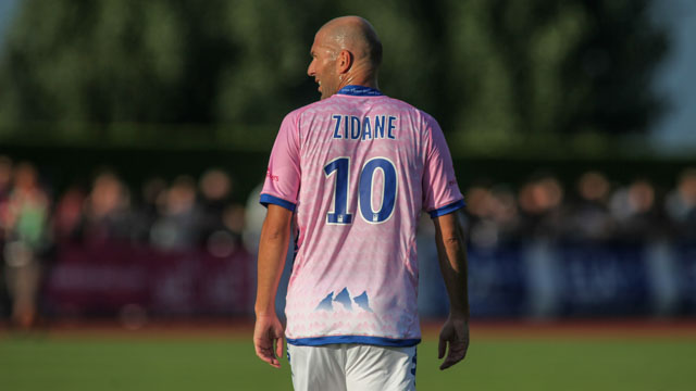 Tout Le Monde Aime Les Pingouins