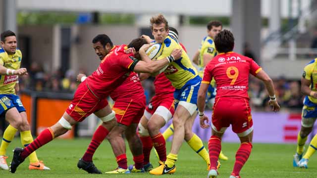 Tout Le Monde Aime Les Pingouins