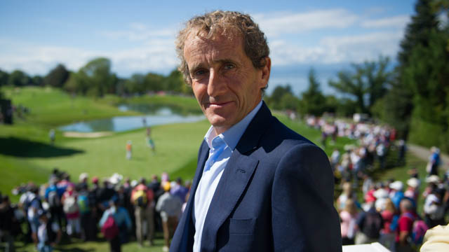 Tout Le Monde Aime Les Pingouins